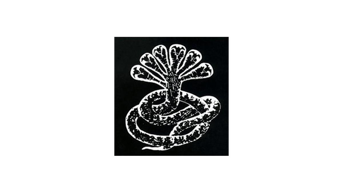 20 Years of Turbonegro