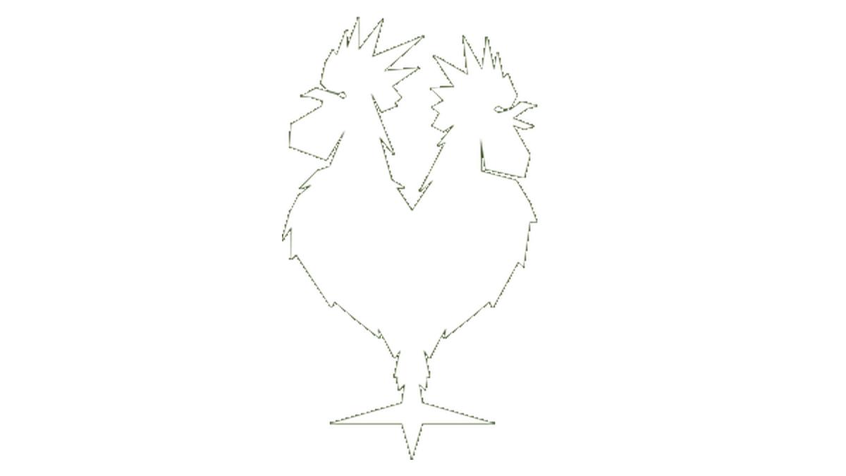 Coq Au Vin