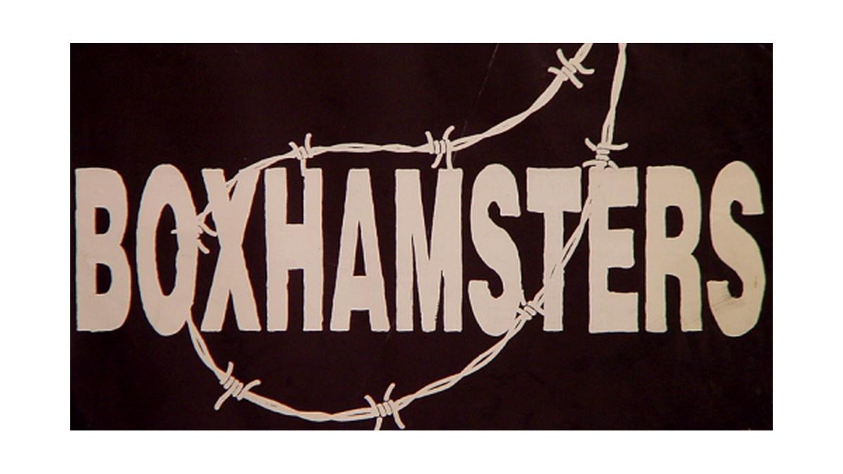 Boxhamsters & Kaltfront