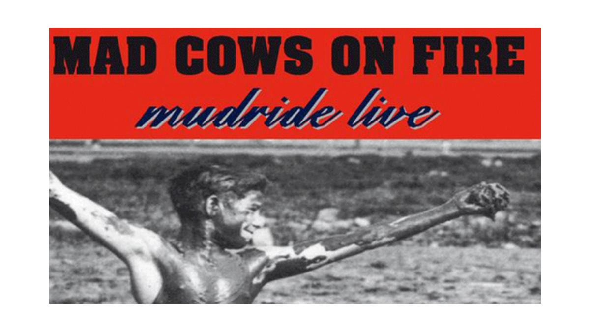 Mad Cows On Fire