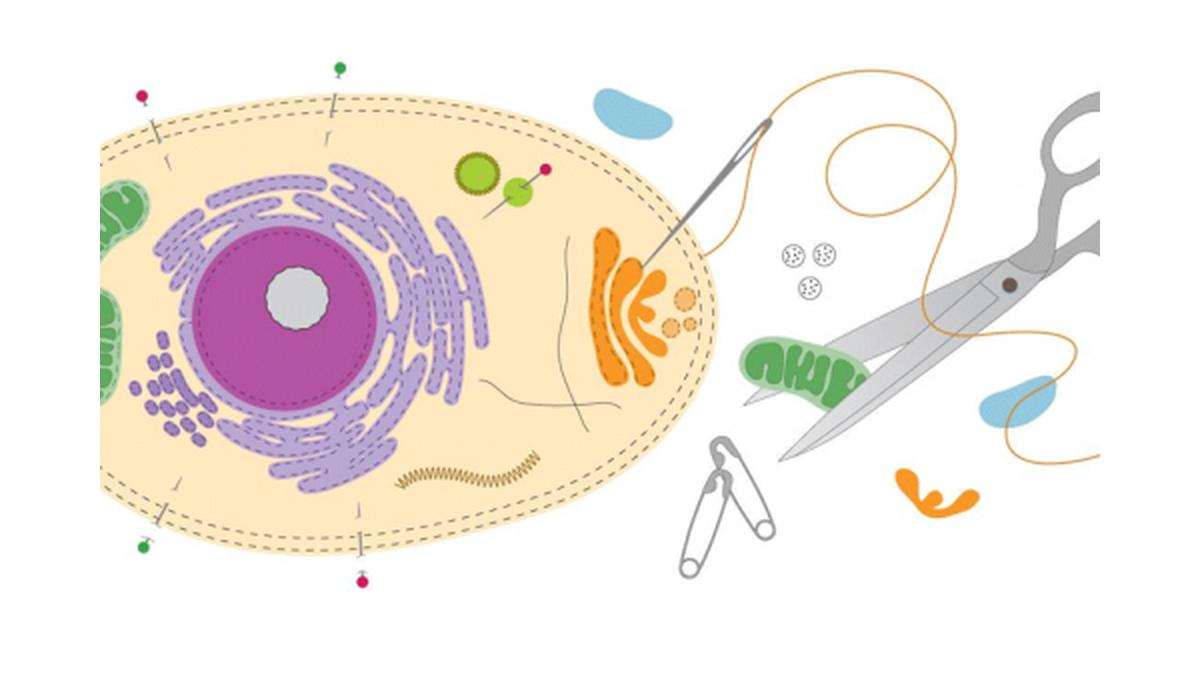 Science Café mit Synthetische Biologie