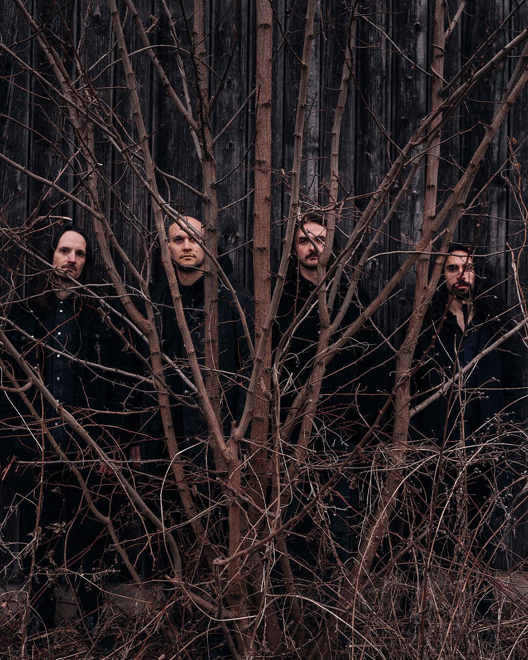 der weg einer freiheit, band zwischen kahlen ästen vor holzwand