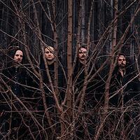 der weg einer freiheit, band zwischen kahlen ästen vor holzwand