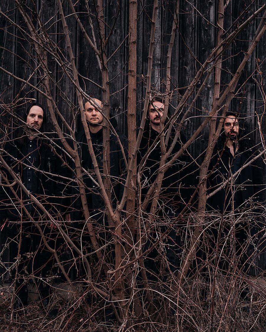 der weg einer freiheit, band zwischen kahlen ästen vor holzwand